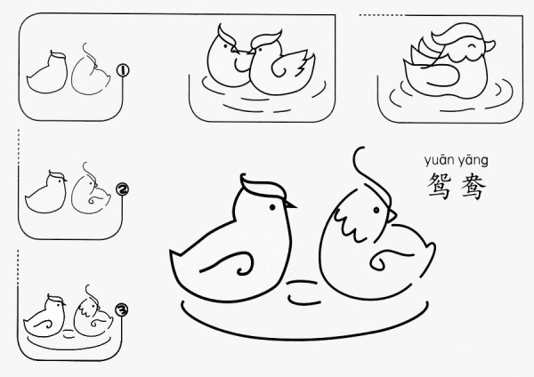 How to draw loving mandarin ducks