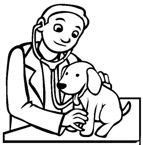 Doctor Pictures Veterinarian Simple Drawing Pictures