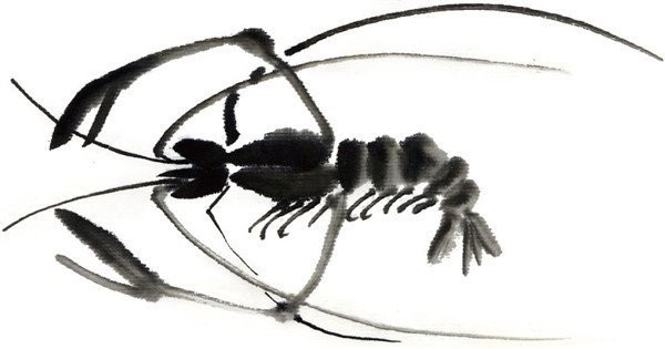 Ink painting techniques of shrimp