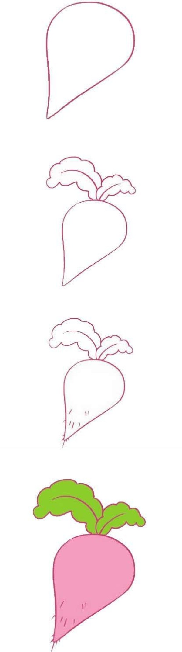 Simple drawing of delicious radish