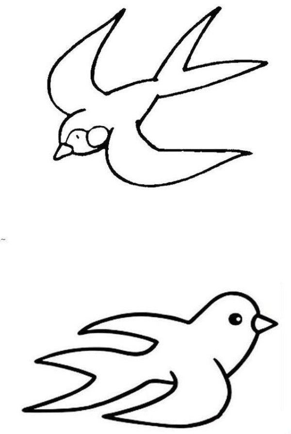 How to draw a flying swallow