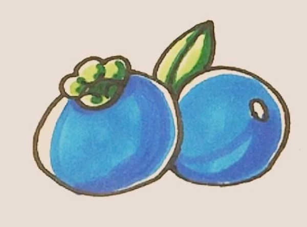 Simple drawing of blueberry