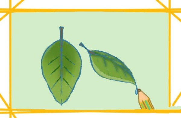 How to draw leaves