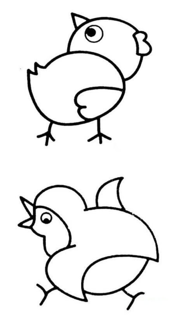 How to draw a chicken looking for food