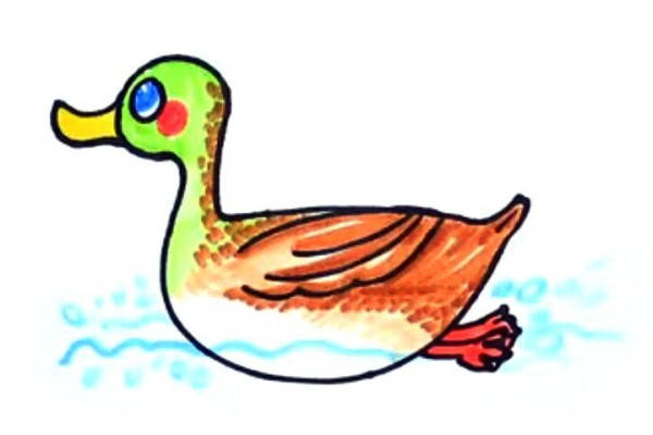 Spring River Plumbing Duck Prophet Simple Drawing Tutorial