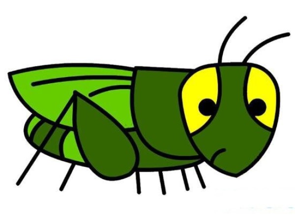 How to draw a green cartoon grasshopper