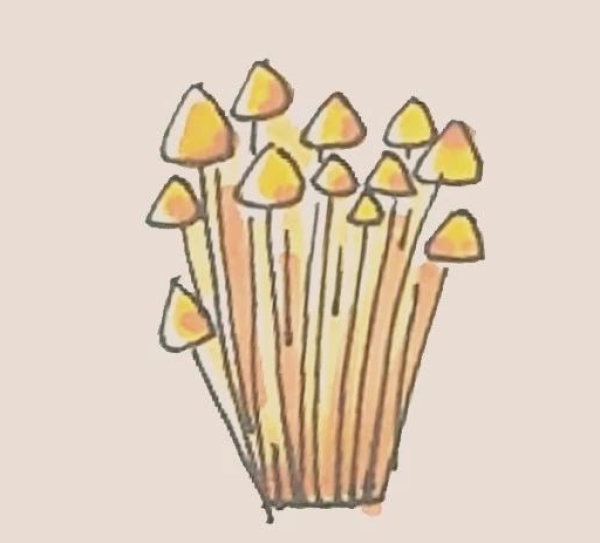 Simple drawing of Enoki mushrooms