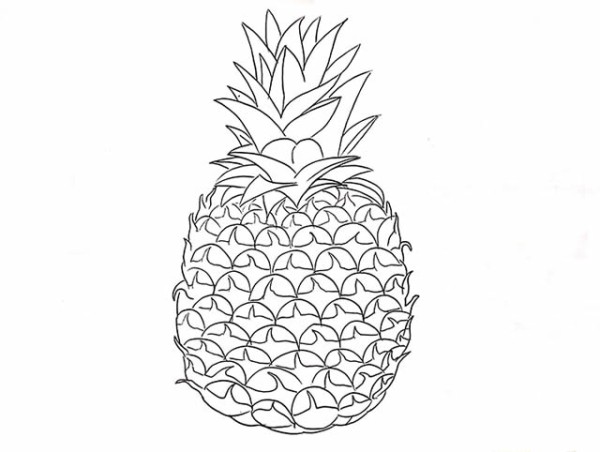 Simple drawing of colored pineapple