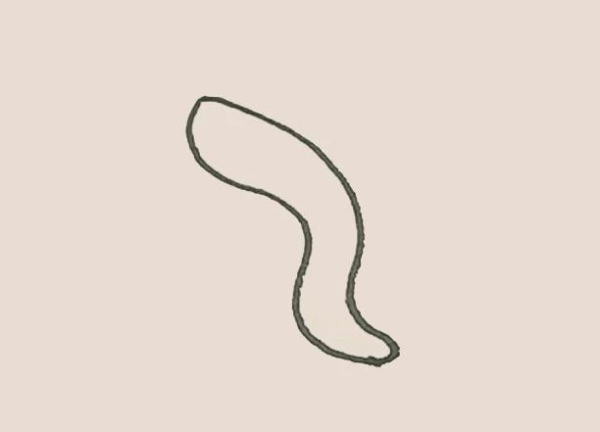 Simple drawing of eel