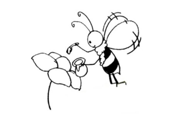 A set of simple drawing pictures of bees