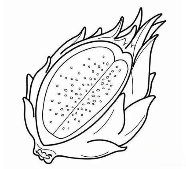 Simple and easy to learn dragon fruit sketch