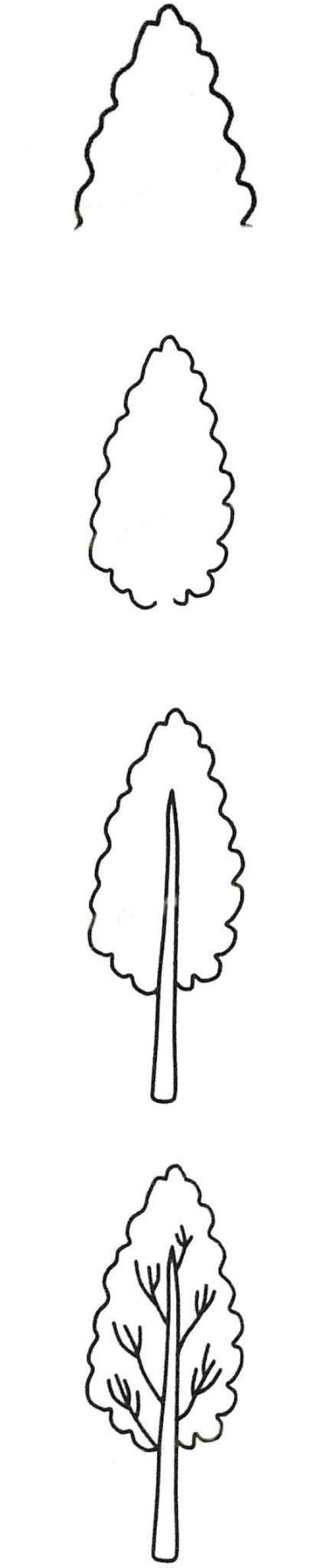 How to draw a poplar tree