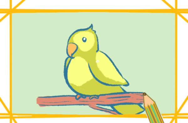 How to draw a yellow parrot