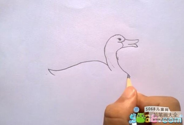 Teach you step by step how to draw a mother duck. How to draw a duck with pencil.