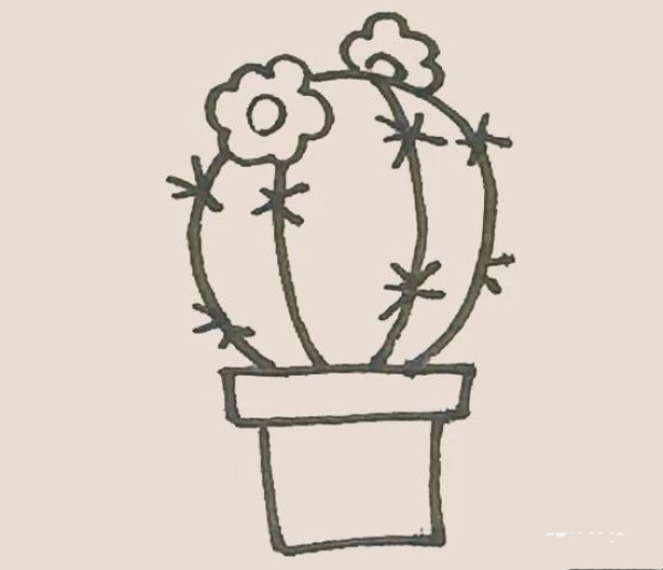 Simple drawing of cactus flower