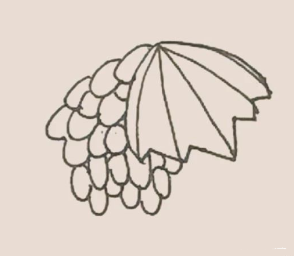 Simple drawing of grapes