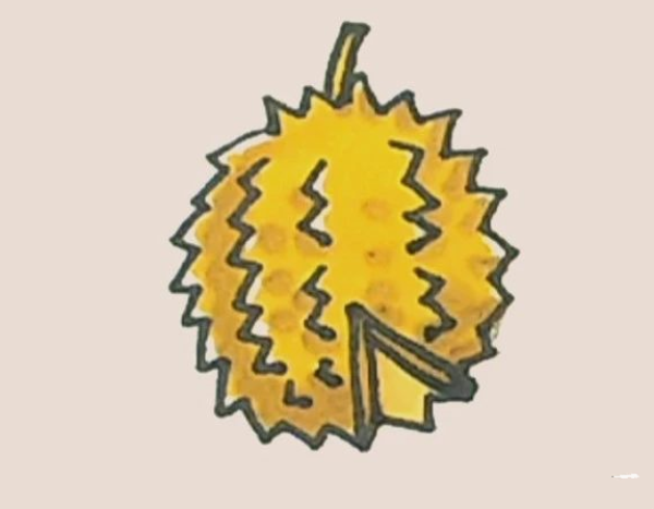 Simple drawing of durian