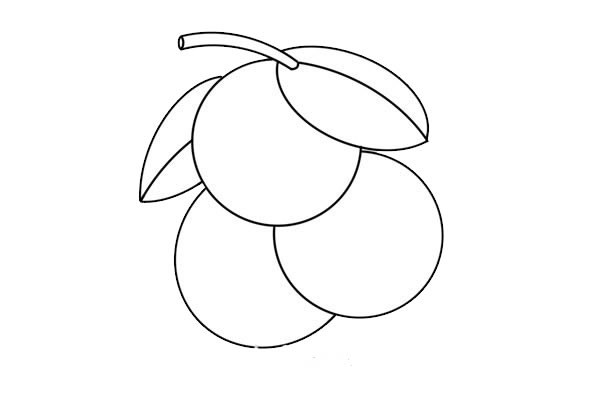 Simple drawing of a bunch of lychees