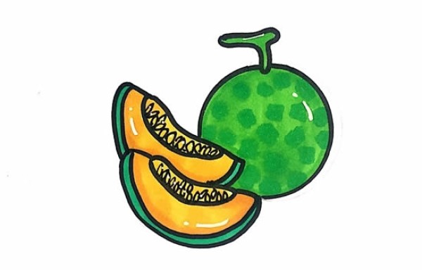 How to draw a green cantaloupe