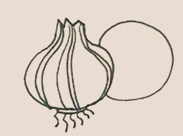 Simple drawing of onion