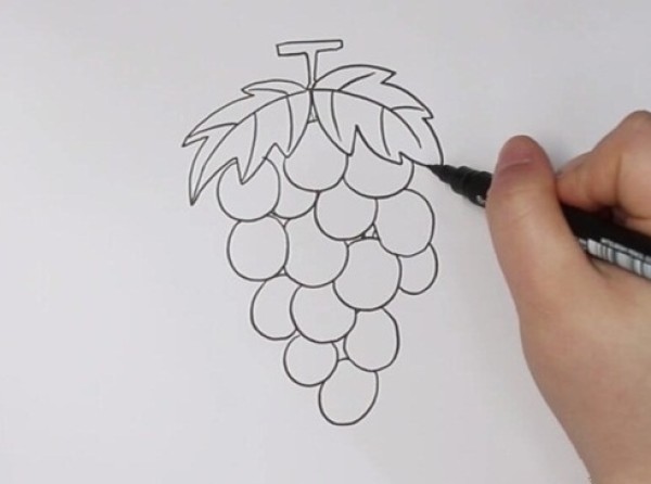 How to draw purple grapes