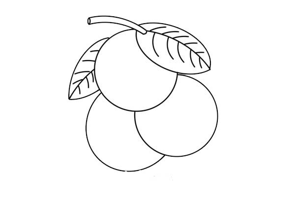 Simple drawing of a bunch of lychees