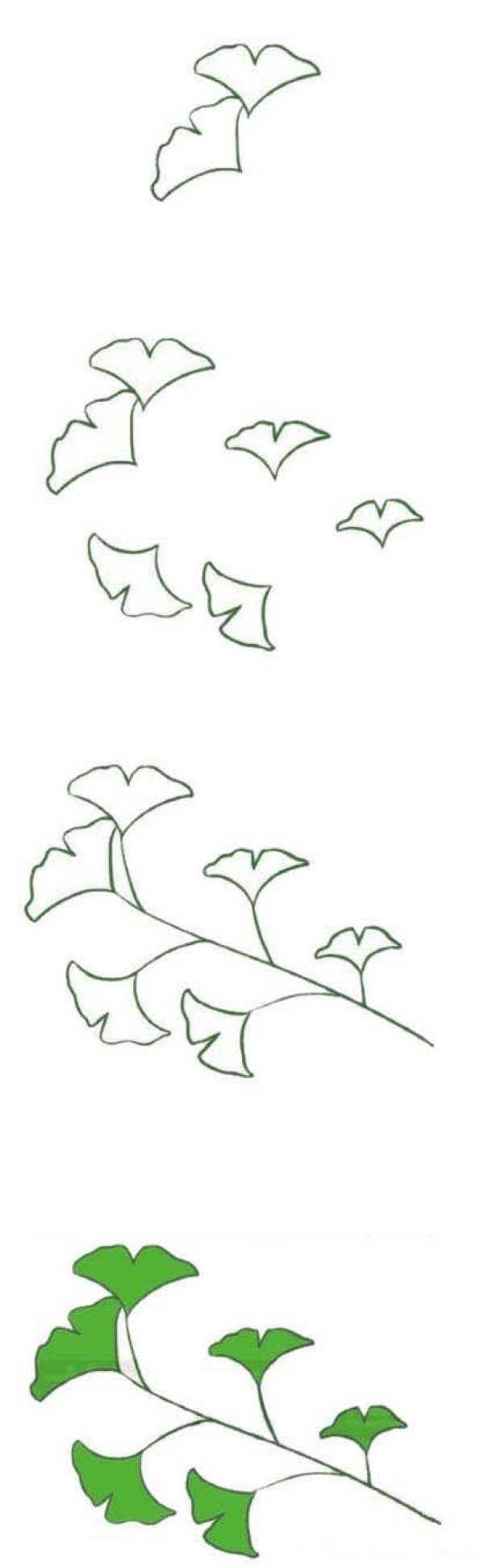 How to draw green ginkgo leaves