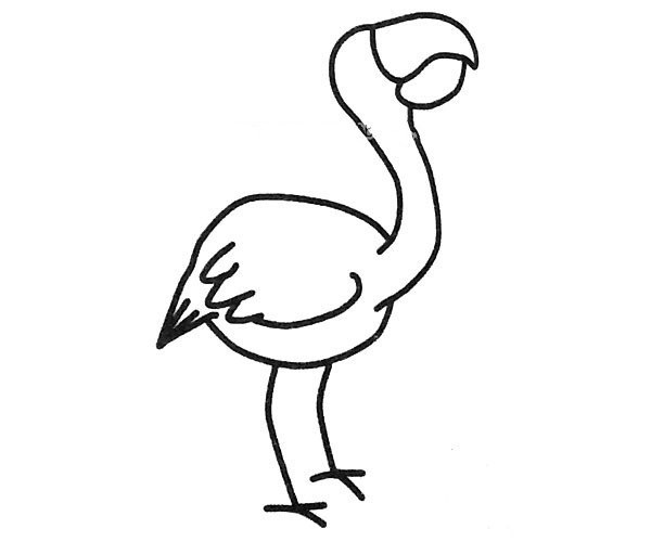 Three beautiful flamingo simple drawing pictures