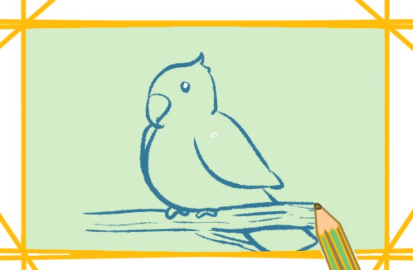 How to draw a yellow parrot