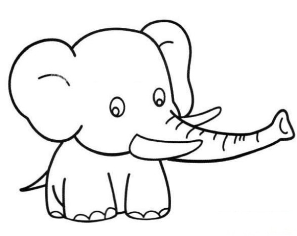 How to draw a baby elephant with a long nose