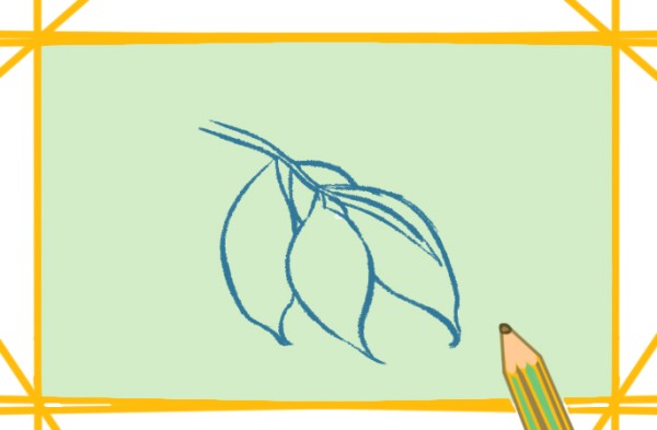 How to draw sweet potato