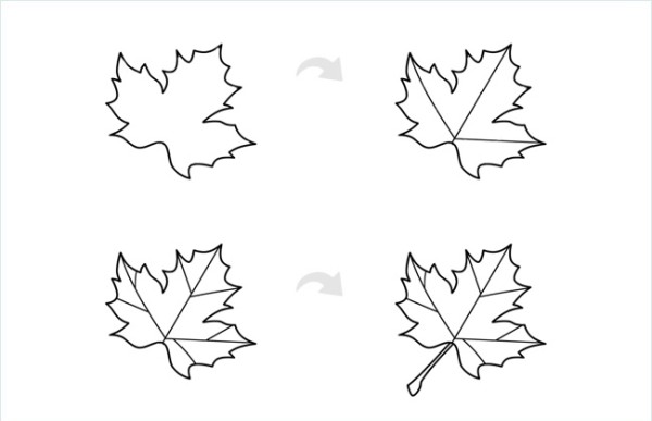 Maple Leaf Simple Drawing Picture Drawing Steps