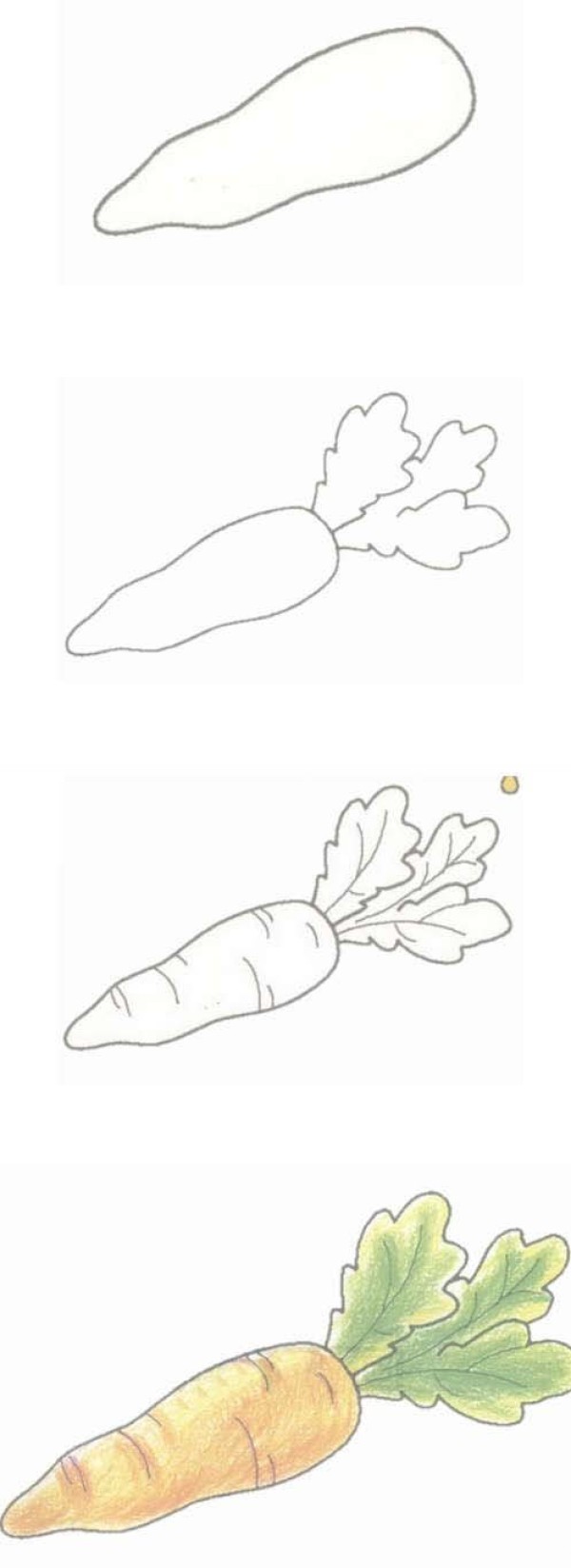 Hand drawn carrot simple strokes