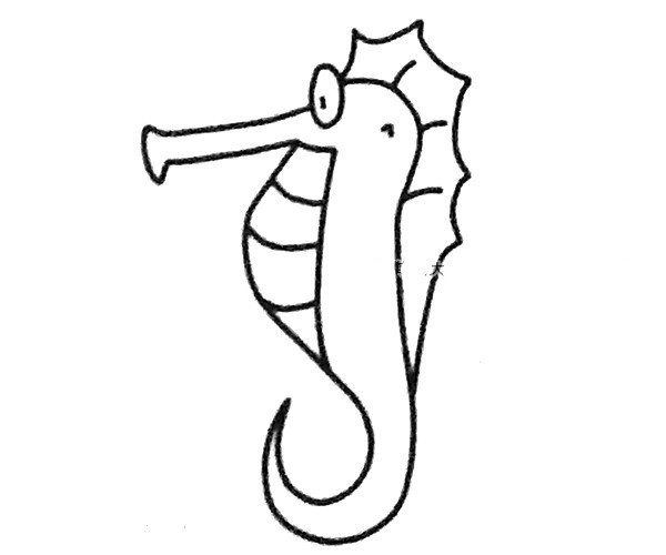 Draw a cute seahorse in four steps