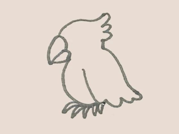 Simple drawing of parrot