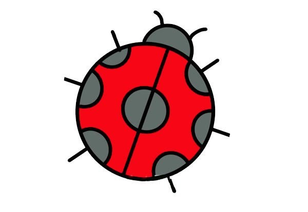 Simple drawing of cute seven-star ladybug