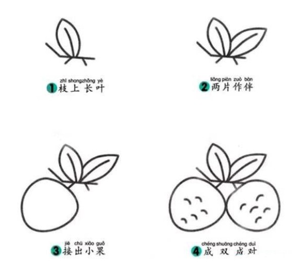 How to draw delicious lychees