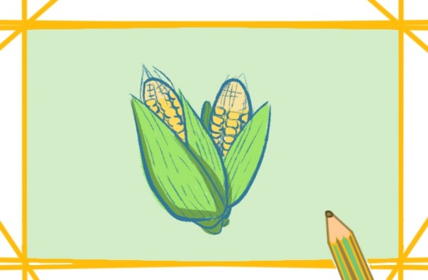 Beautiful simple drawing of corn