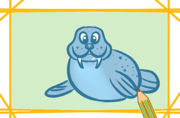 Huge walrus simple drawing