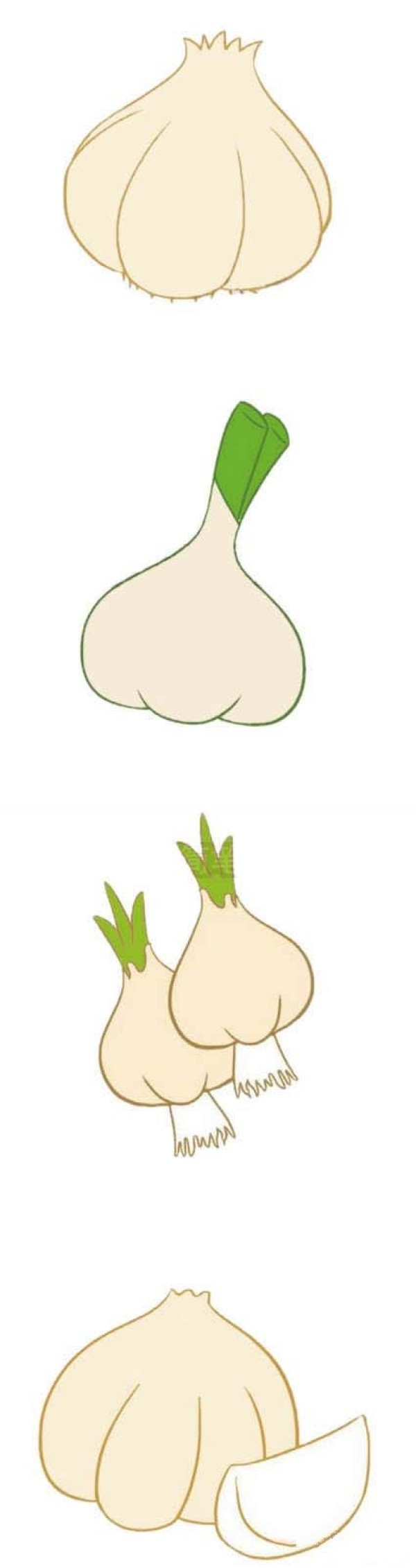 How to draw colored garlic