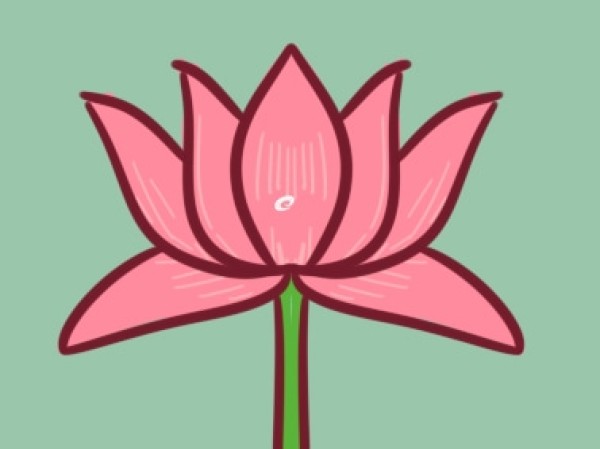 Simple drawing of pink lotus