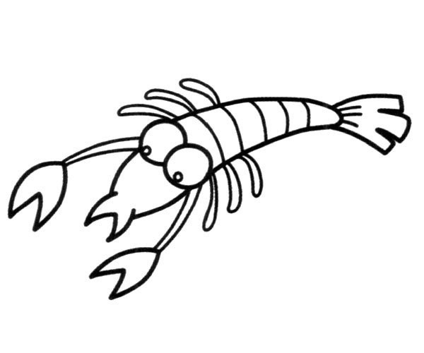 How to draw cute shrimp