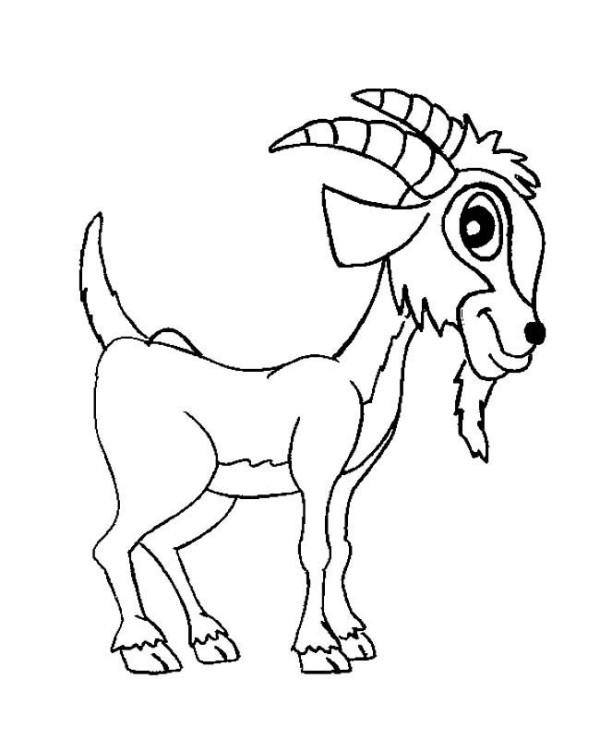 Complete collection of simple animal drawings Goat simple drawings