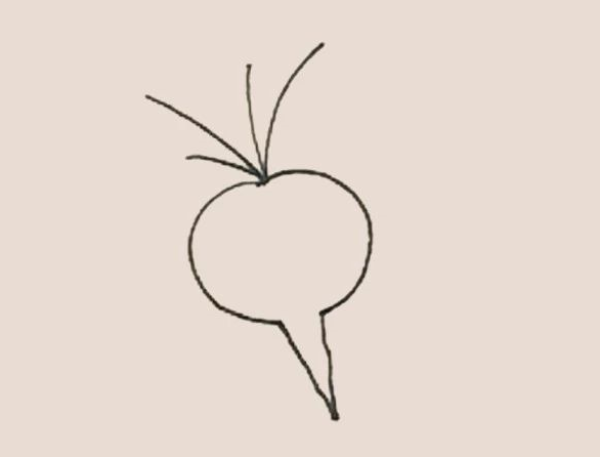 Simple drawing of big carrot