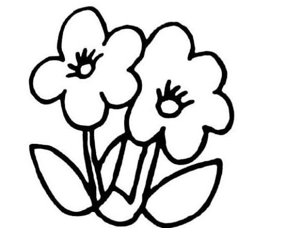 Beautiful simple drawing of two small flowers