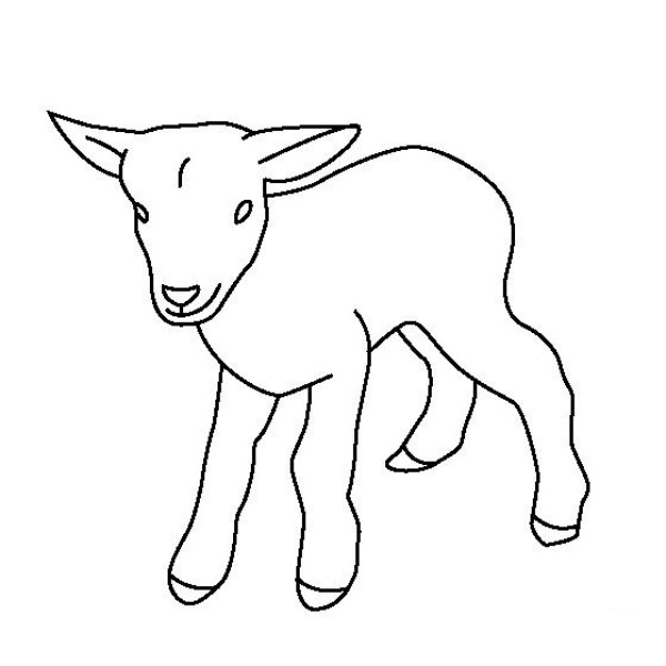 A collection of simple drawings about sheep, simple drawing pictures of lambs