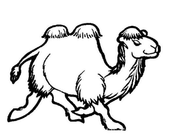 Simple animal drawings Complete collection of camel simple drawings