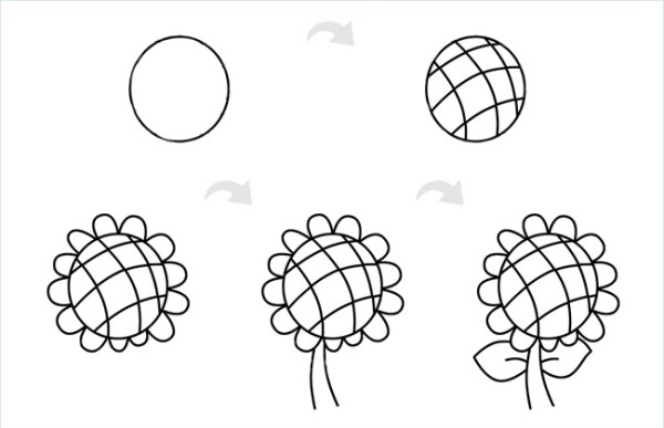 How to draw sunflower with simple strokes