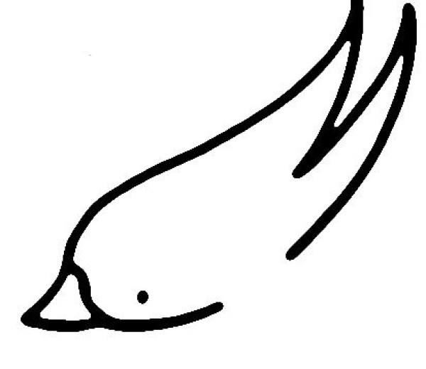 Simple drawing of cute and flexible swallow