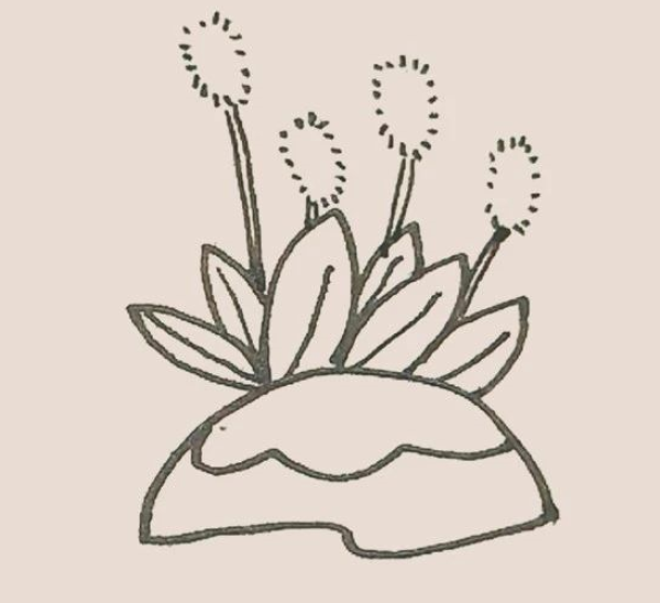 Simple drawing of dog tail grass